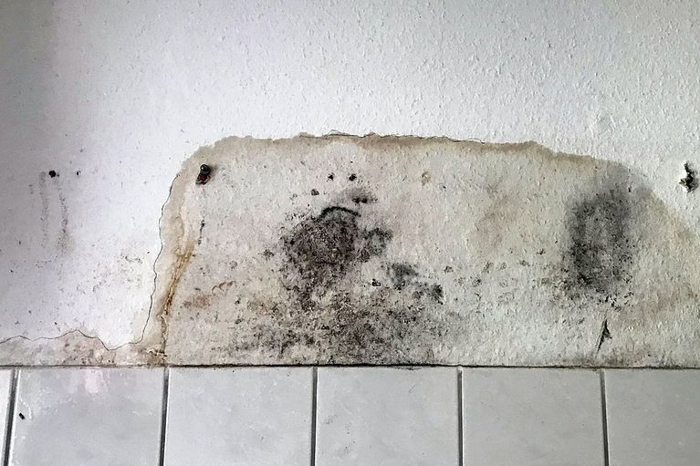 Schimmel hinter den Fliesen nach einem Wasserschaden in der Küche